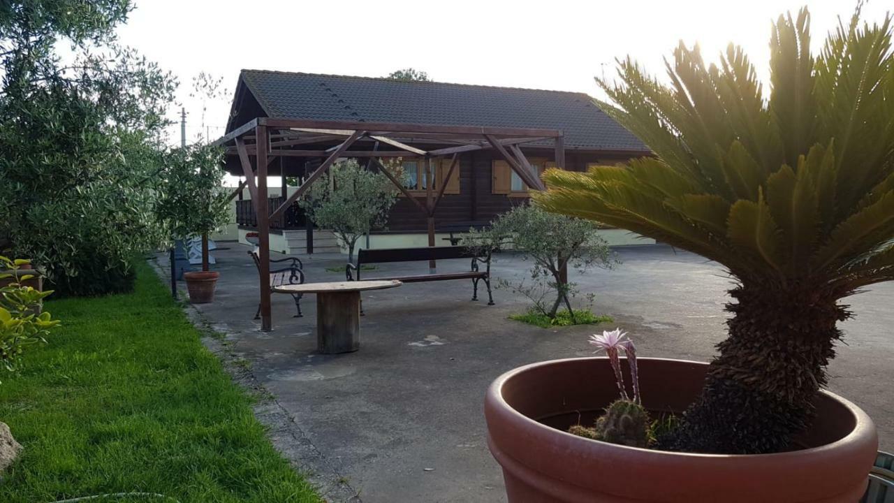 Chalet L Oasi Di Ambra 8 Posti Letto Con Uso Piscina أرديا المظهر الخارجي الصورة
